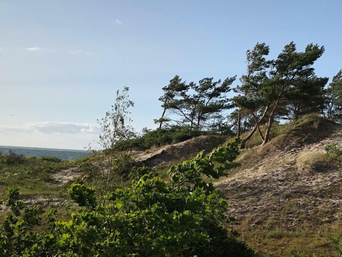 Haus Kranich Im Duenenwald 300M Zum Strand ديارهاجين المظهر الخارجي الصورة